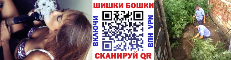 Бошки Шишки ГИДРОПОН  Велиж 